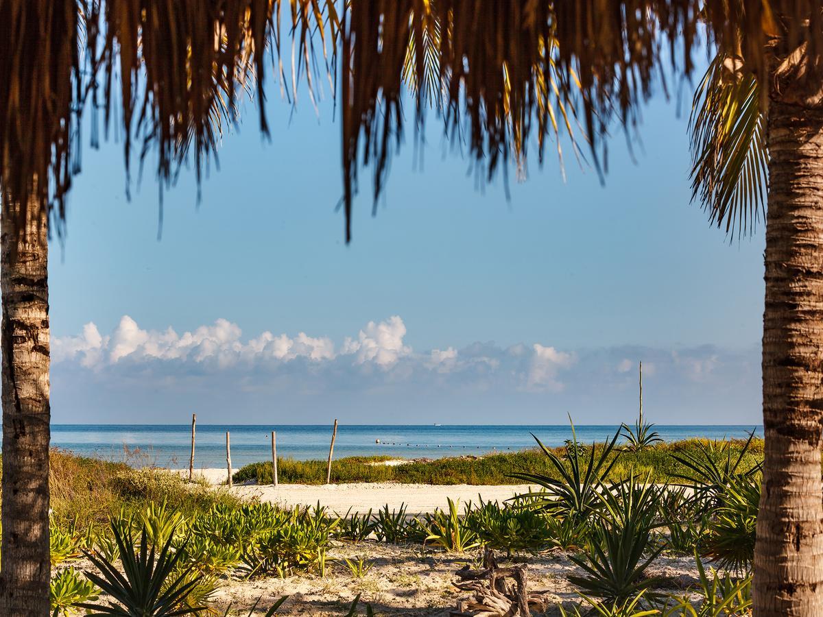 Villas Hm Palapas Del Mar Isla Holbox Екстериор снимка